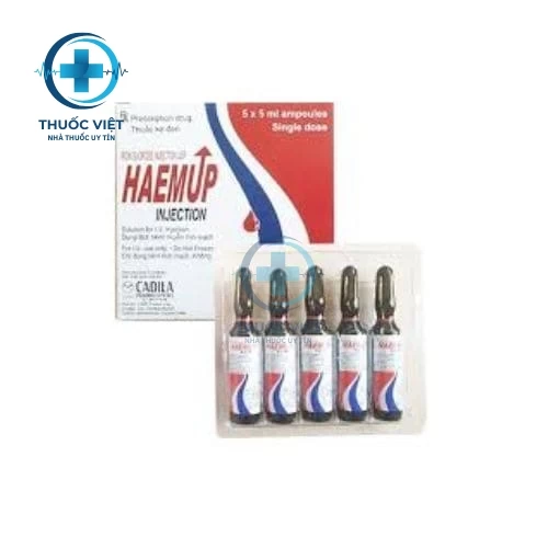 Thuốc Haem up Injection 20mg/ml